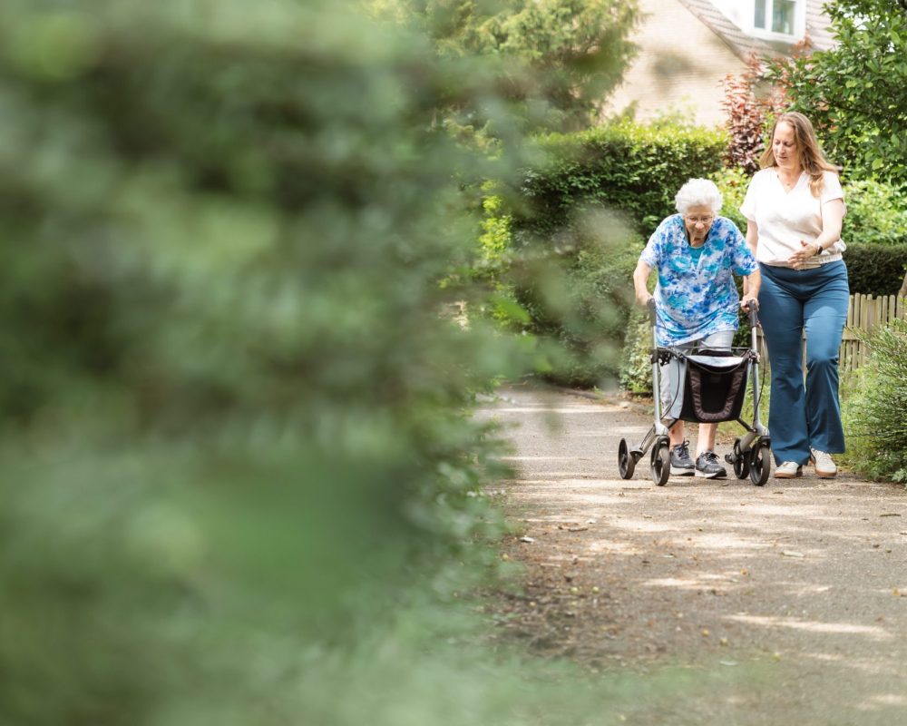 Ergotherapie bij kwetsbare ouderen
